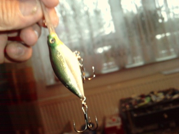 P120811_18.050002 (600 x 450).jpg