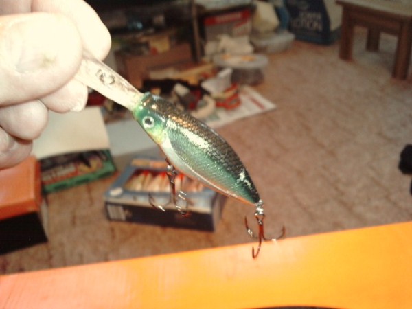 P120811_18.040001 (600 x 450).jpg