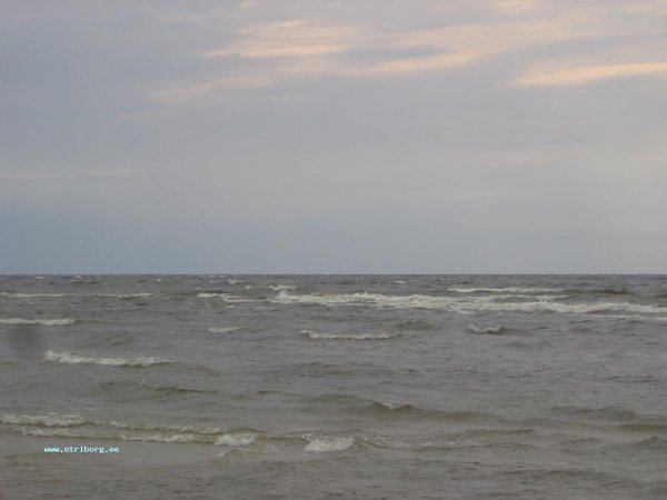 IMG_5797.JPG