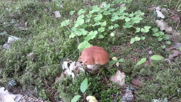 17082011370.jpg