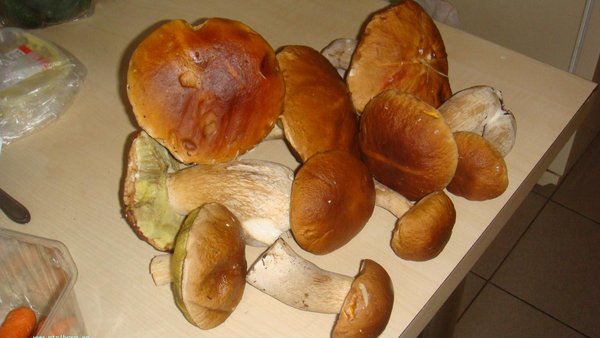 DSC02642.JPG