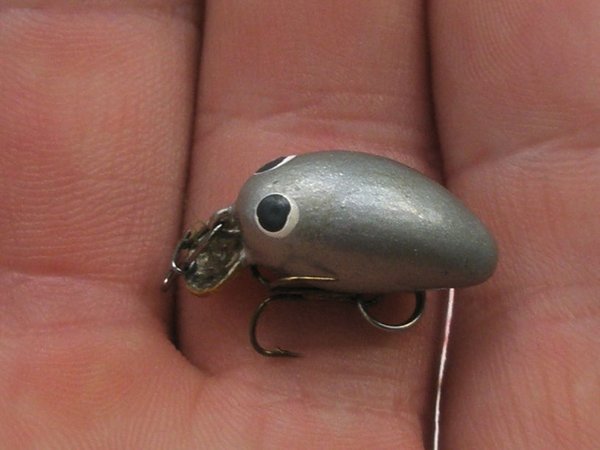 P8190746.JPG (60.58 КБ) 747 просмотров Малыш весит 0,3 гр. без крючка.