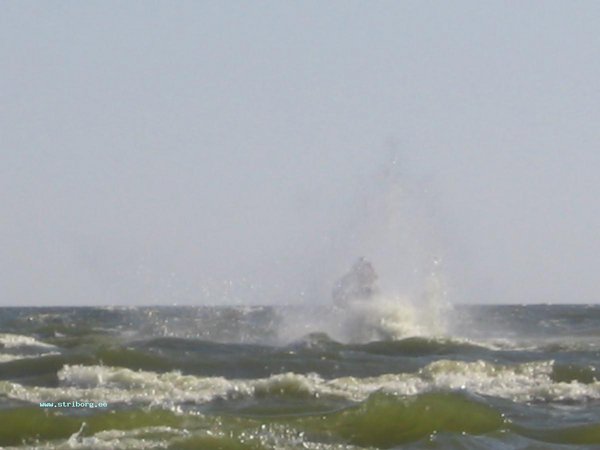 IMG_5924.jpg