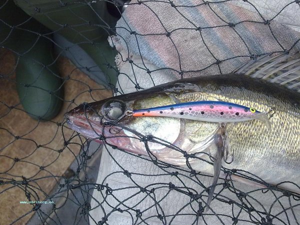 210820111324.jpg