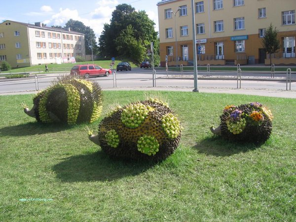 IMG_6091.JPG