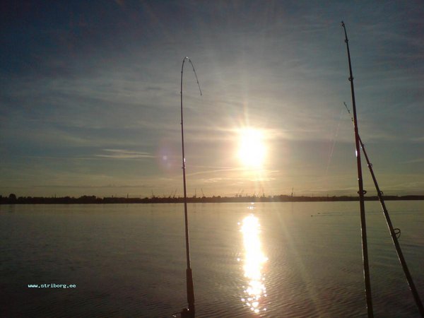 DSC00146.JPG
