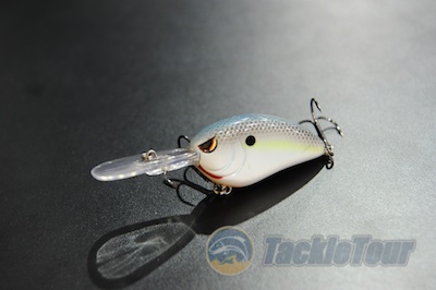 picticast2011sproljbabydd010.jpg