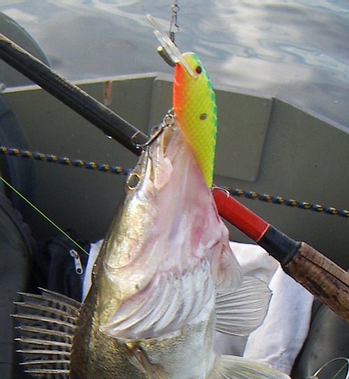 Грузик под лопатой - залог стабильной средне/частотной игры.