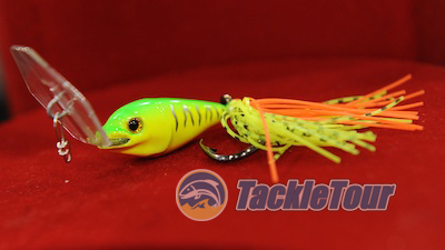 picticast2011molix001.jpg