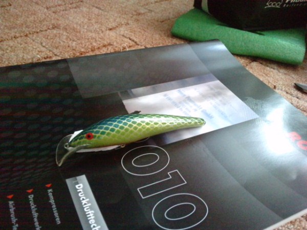 P160911_12.180001 (600 x 450).jpg