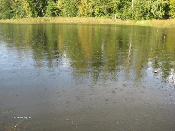 IMG_5400.JPG