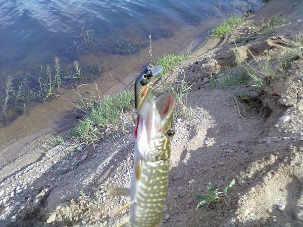 20110920513.jpg