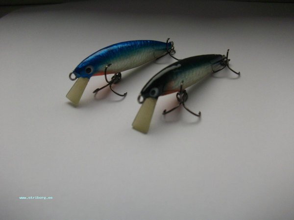 Picture 015.jpg