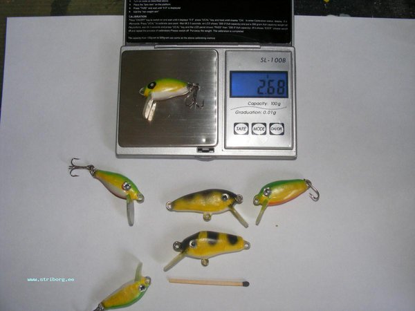 DSCF2177.JPG
