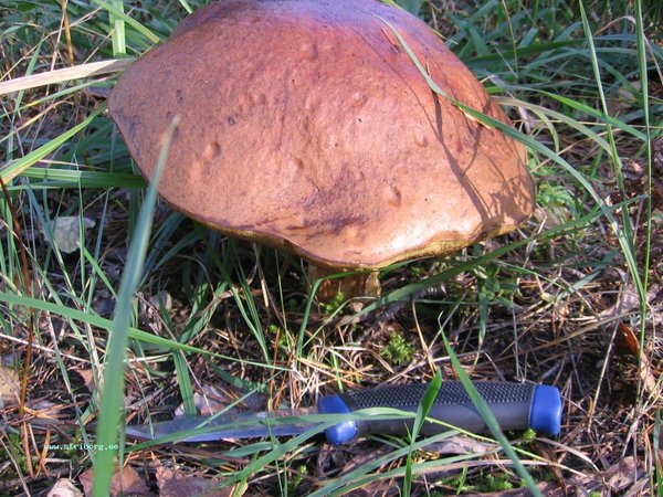 01-02.10.11 028.jpg