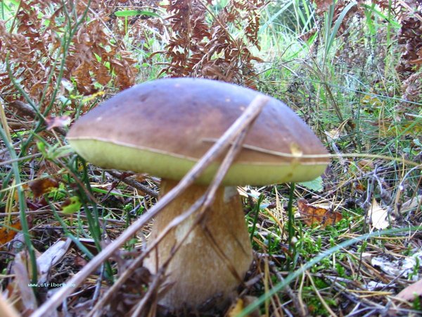 01-02.10.11 031.jpg