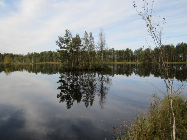 СОК1.jpg
