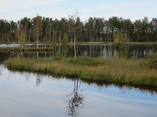 СОК2.jpg