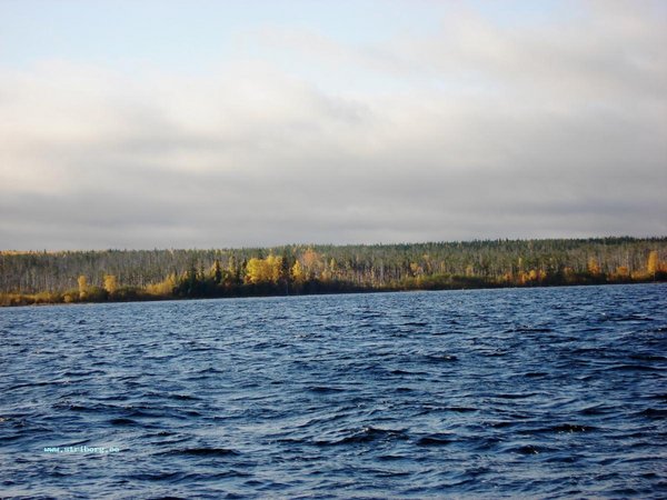 DSC04890.JPG