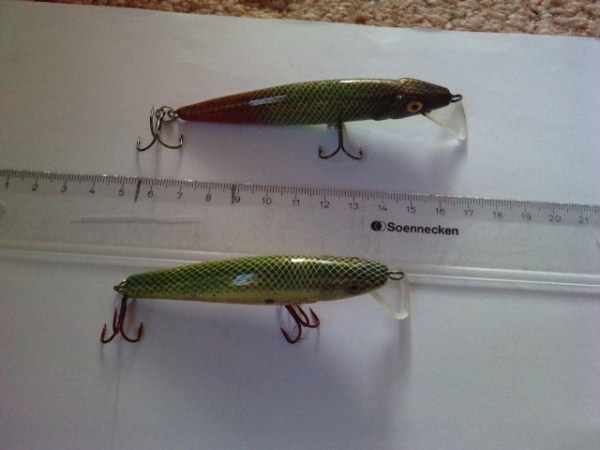 P071011_17.190001 (600 x 450).jpg