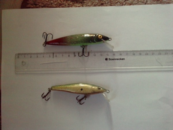 P071011_17.180001 (600 x 450).jpg