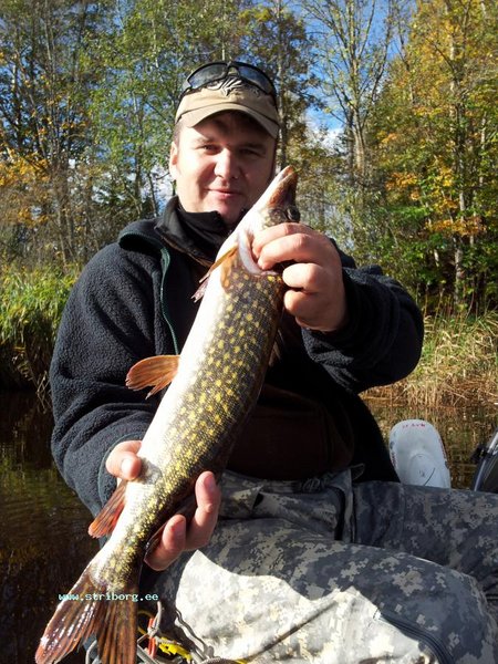 2011-10-09 12.34.29.jpg