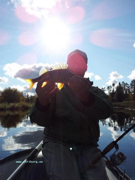 2011-10-09 12.35.59.jpg