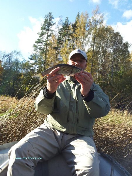 2011-10-09 14.39.17.jpg