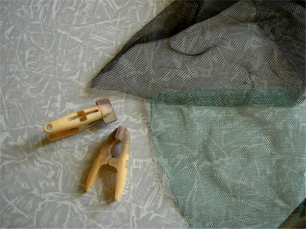 PICT2155.JPG