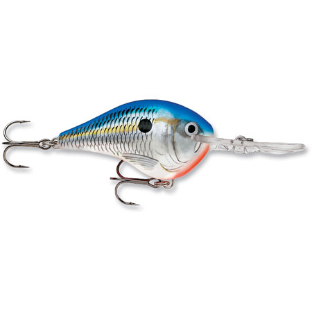 foxfishing-704.jpg