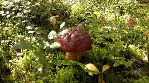 03092011435.jpg
