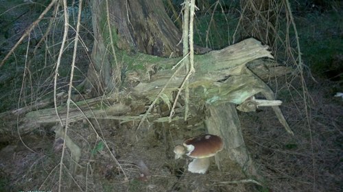 29082011417.jpg