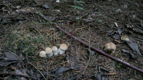 25082011409.jpg