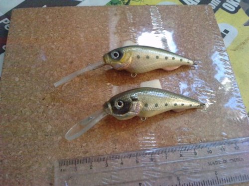 P201011_09.210001 (600 x 450).jpg