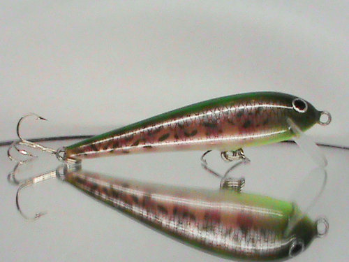 DSC01248.jpg