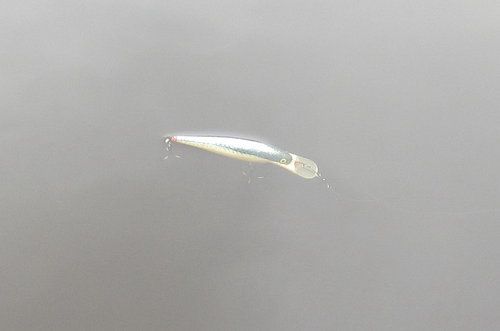 Сч3.jpg (60.42 КБ) 1375 просмотров Последний кадр микроба. АМИНЬ!