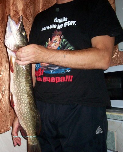 100_1938.JPG