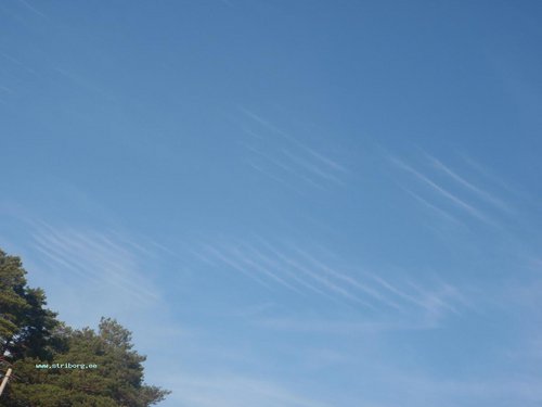 PA292206.JPG