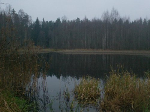 006.JPG