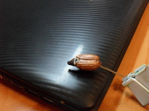 SDC14576.JPG (87.67 КБ) 855 просмотров майский жук в планах должен получиться и на голавля в мае