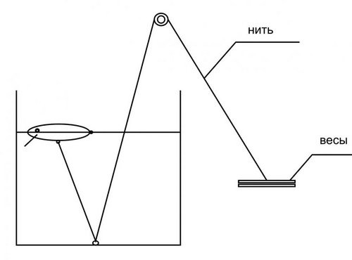 h.jpg