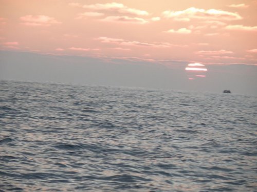 6.JPG (100.16 КБ) 21268 просмотров шарик в тельнике