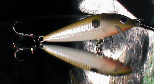 DSC01408.jpg