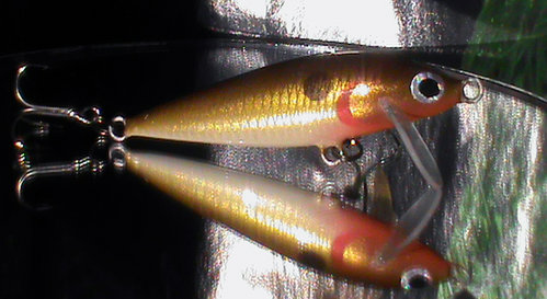 DSC01416.jpg