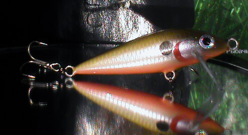 DSC01420.jpg