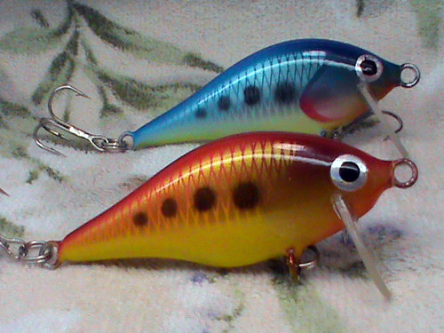 DSC01448.jpg
