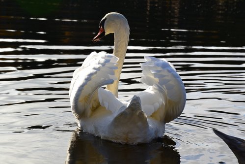 DSC_0037.JPG