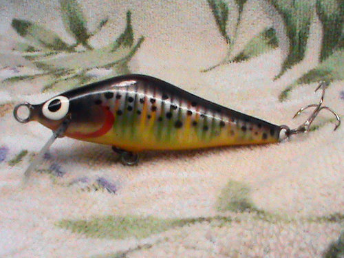 DSC01548.jpg