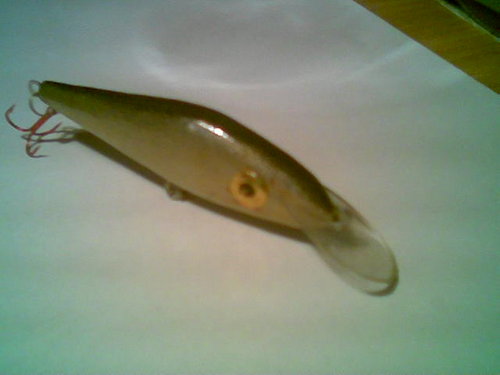 ____001.jpeg (22.14 КБ) 705 просмотров Мутно(макросъёмка отсутствует),но видно,где петля.