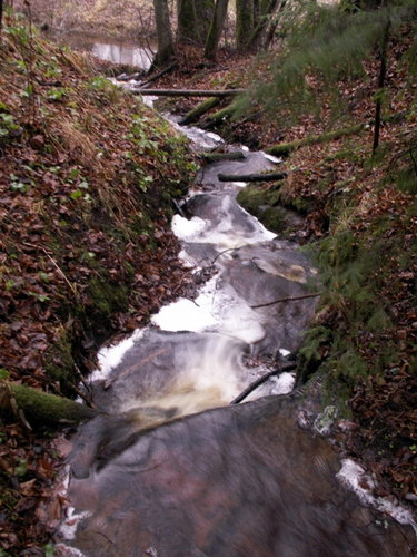 PICT0007.JPG